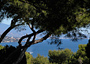  Propriété Cap Ferrat 