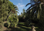 New villa and swimming pool St Tropez